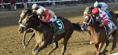 2021 Woodward Stakes Picks