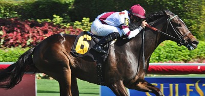 Xcellence Tops the Field for $500,000 Sands Point